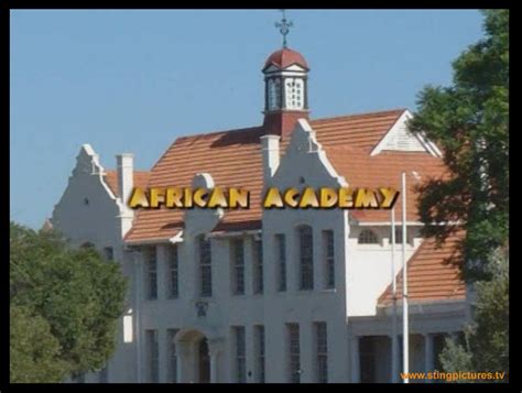 African Academy Archives - Feel the Sting