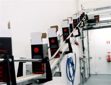 Food Conveyor Systems & Snack Food Conveyors :: Carryline USA