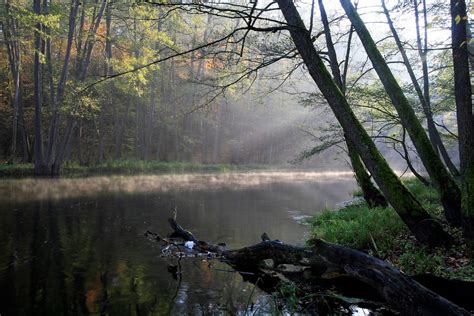 Drawa National Park - Wielkopolska.travel - Wielkopolski Portal Turystyczny