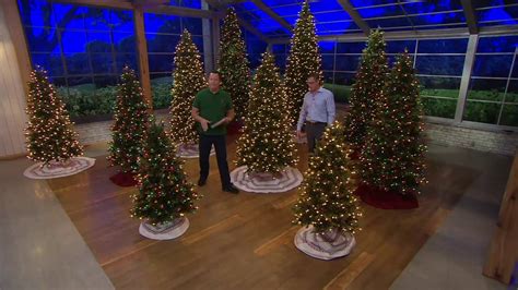 Bethlehem Lights Heritage Spruce Christmas Tree w/Instant Power on QVC ...