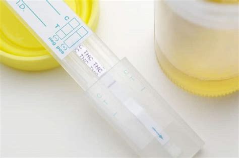 How to pass a urine drug test for THC - The Conventicle