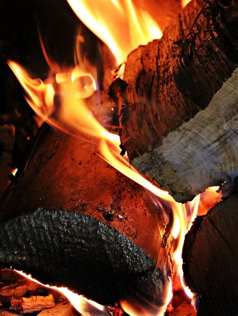 Fotos gratis : madera, aventuras, fumar, comida, llama, chimenea, hoguera, carne, calor, quemar ...