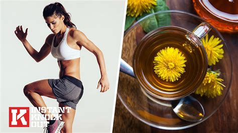 Is Dandelion Tea Effective for Weight Loss? - Instant Knockout Academy | Instant Knockout Academy