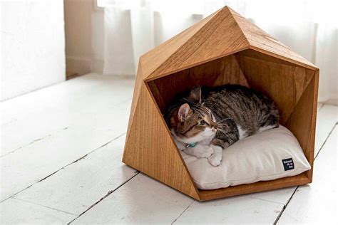 House for a cat: let the pet also have its own personal space ...