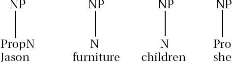 Noun-Phrase Structure