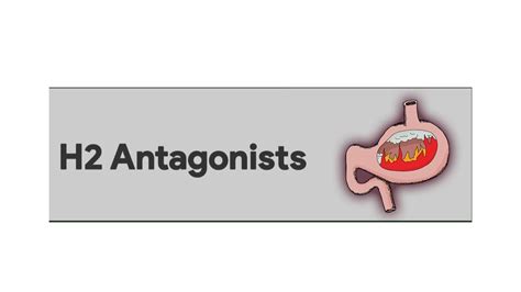 H2 Receptor Antagonists - YouTube