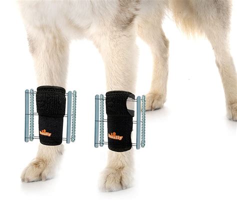 Buy NeoAlly 3-In-1 Dog Front Leg Splint Braces for Support ...