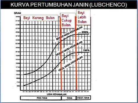 Tabel Berat Badan Bayi – newstempo