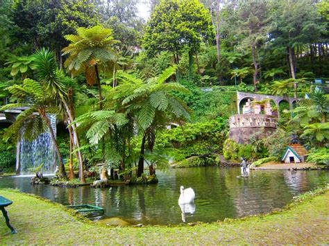 Madeira – Funchal GARDENS – Portugal | Madeira, Madeira island, Funchal