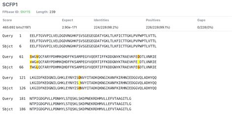 FPbase Fluorescent Protein Sequence BLAST