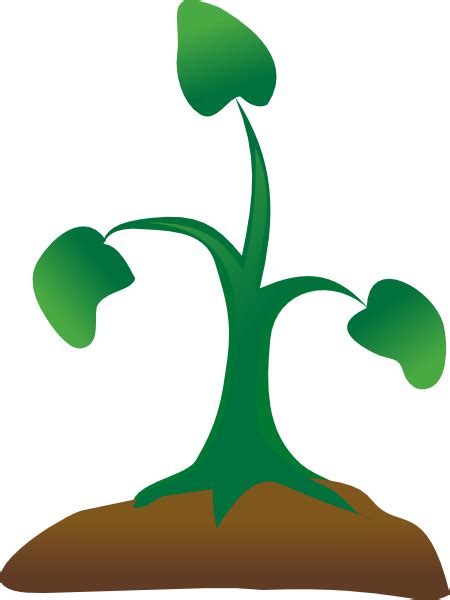 Seedling Clip Art at Clker.com - vector clip art online, royalty free ...