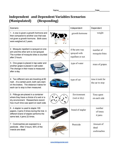 Independent Dependent Variable Worksheet – E Street Light