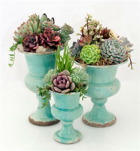 Mini Succulent Pots You Will Definitely Fall In Love With - Top Dreamer