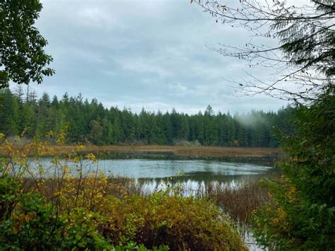 5 Beautiful Hikes on Bainbridge Island - Ordinary Adventures