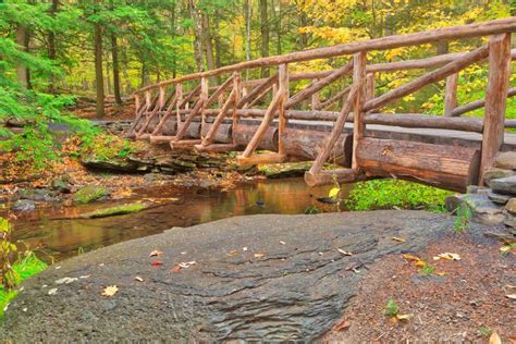 Autumn Log Bridge - HDR Free Stock Photo - Free Images