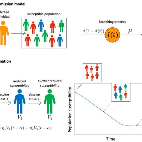 The epidemiological model used in our analysis. (a) Following the ...