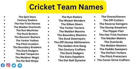 500+ Unique, Catchy & Funny Cricket Team Names & Suggestions - Facts Reader