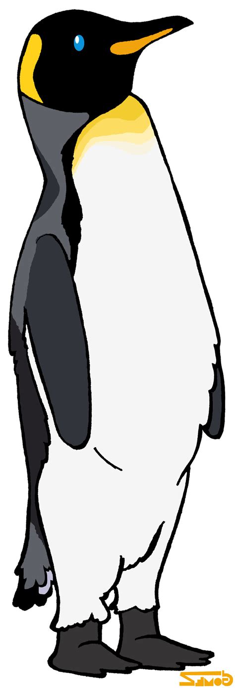 Emperor Penguin Cartoon - ClipArt Best