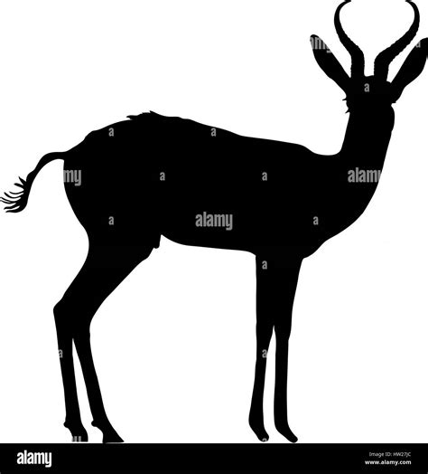 Springbok Cut Out Stock Images & Pictures - Alamy