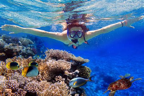 Snorkeling - Los Cabos Passport