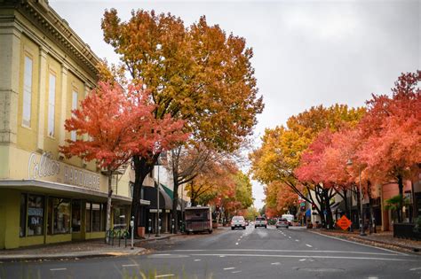 Alumni-Owners of Downtown Chico Businesses Share Their Stories - Chico ...