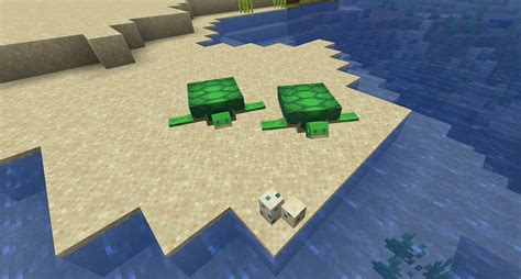 How to breed and hatch turtle eggs in Minecraft