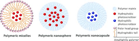 General PS loading approaches in biodegradable polymeric nanoparticles. | Download Scientific ...