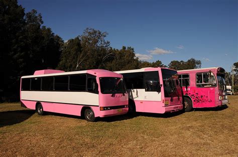 About – Pink Party Bus