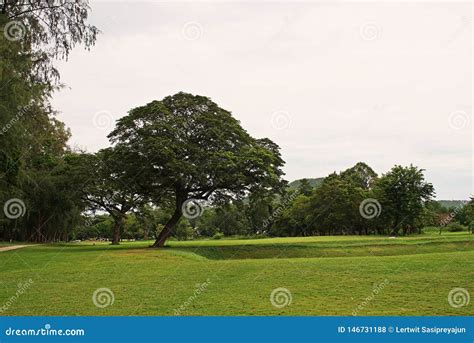 Golf Course Scenery, Popular Sport Stock Photo - Image of countryside ...