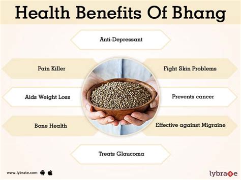 Bhang Benefits And Its Side Effects | Lybrate