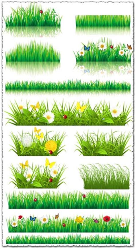 Decorative grass borders vectors