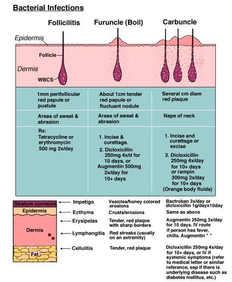 Bacterial infections