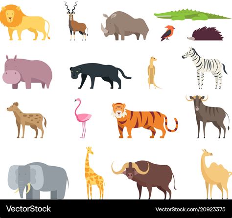 Cartoon african savannah animals wild zoo safari Vector Image