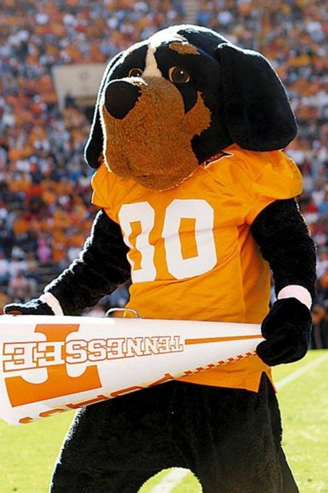 13 I Will Give My All For Tennessee Today ideas | tennessee, tennessee ...