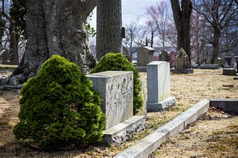 Louie Howe (1871-1936) - Find a Grave Memorial