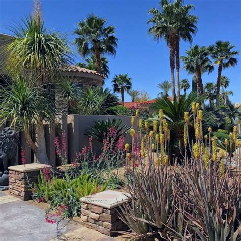 Transform Your Space with Creative Desert Landscaping Designs