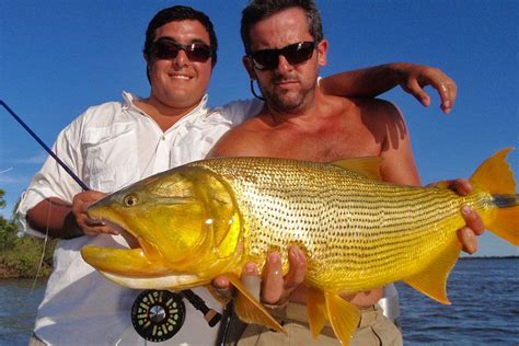 Parana River Argentina | Solid Adventures | Fly fishing, Argentina, Fishing tips