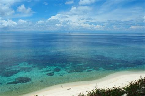 Diving in Apo Reef