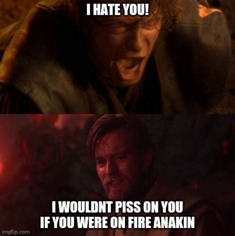 Anakin Skywalker I Hate You Meme - Margaret Wiegel