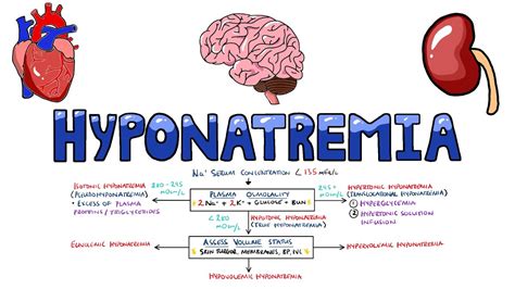 An Approach to Hyponatremia - Hyponatremia Diagnostic Algorithm | Hyponatremia Causes MADE EASY ...