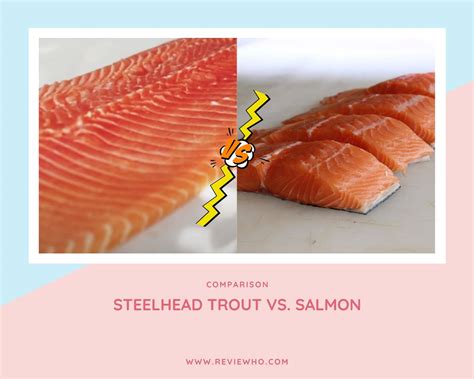 Steelhead Trout Vs. Salmon Nutrition Value | Reviewho