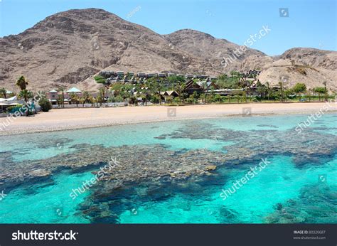 Coral Reef Gulf Eilat Red Sea Stock Photo 80320687 - Shutterstock