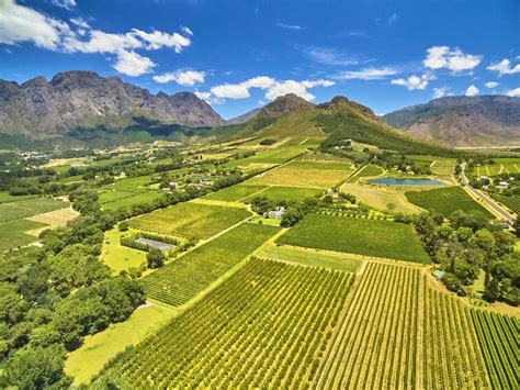 Full Day Cape Winelands Tour