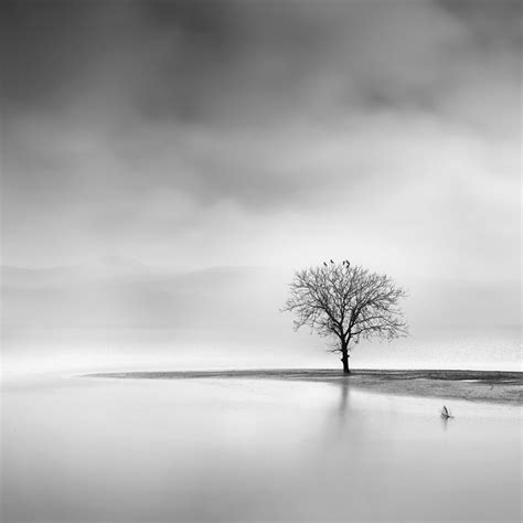 Whispers Of Silence: Peaceful Landscape Photographs George Digalakis