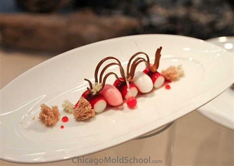 Beautiful dessert by Team Sweden - IKA Culinary Olympics 2012 - The ...