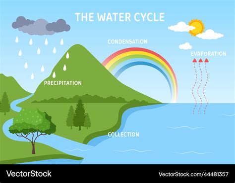 Water Cycle Condensation