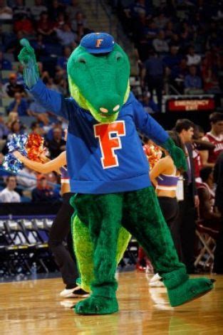 Florida Gators mascot, Albert E. Gator, at a UF basketball game. | Gators football, Florida ...