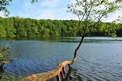 Wielkopolska National Park - Wielkopolska.travel - Wielkopolski Portal ...