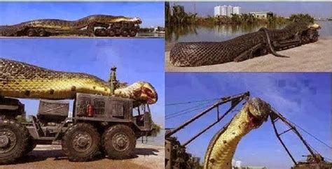 Life Style: OMG: The largest anaconda I have ever seen :o