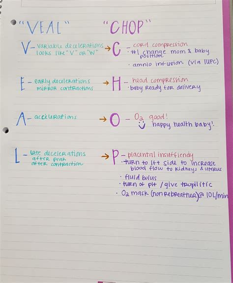 "VEAL" "CHOP" OB interventions | Nursing school survival, Child nursing ...